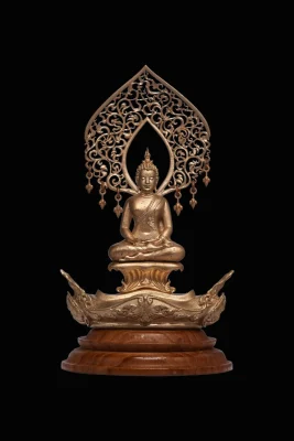 มุจจลินทร์